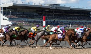 woodbine racetrack casino